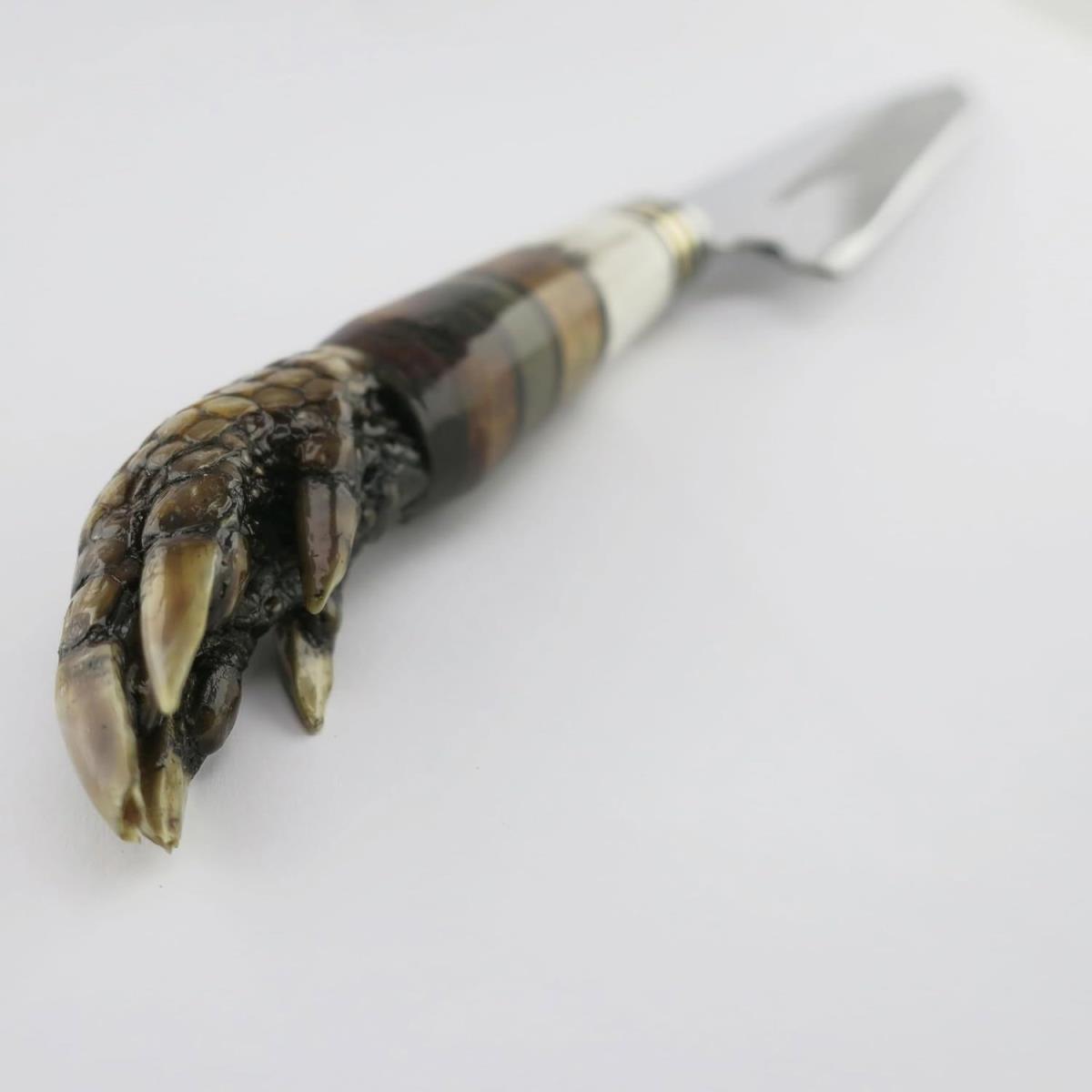Unique Armadillo Claw Handle Knife, 6.3-inch stainless steel blade, perfect for collectors and outdoor enthusiasts. Handcrafted, high-quality, and durable.