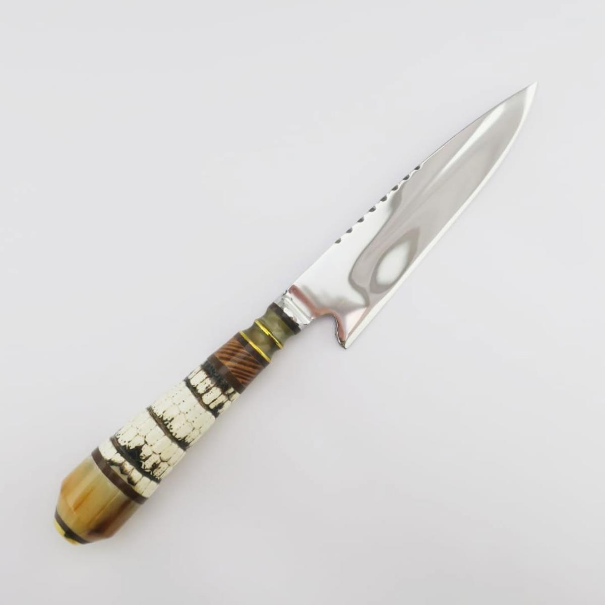 Armadillo Tail 5.5-inch stainless steel knife with a unique handle featuring armadillo shell segments, wood, and brass accents. The sharp, polished blade has a serrated spine and a distinctive curved base, perfect for collectors and outdoor enthusiasts.