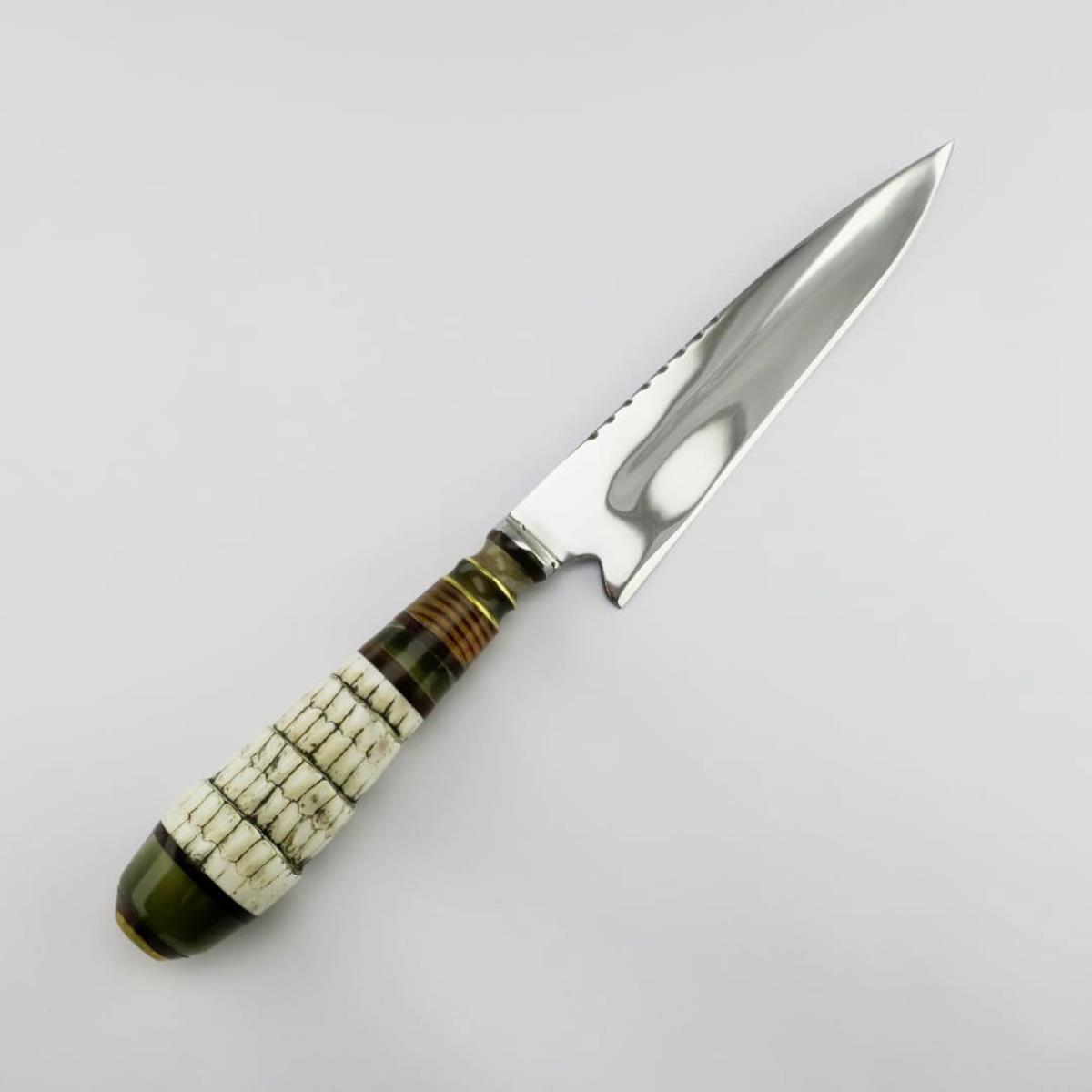 Armadillo Tail 6.3 in knife with a polished stainless steel blade and a unique segmented armadillo tail handle.