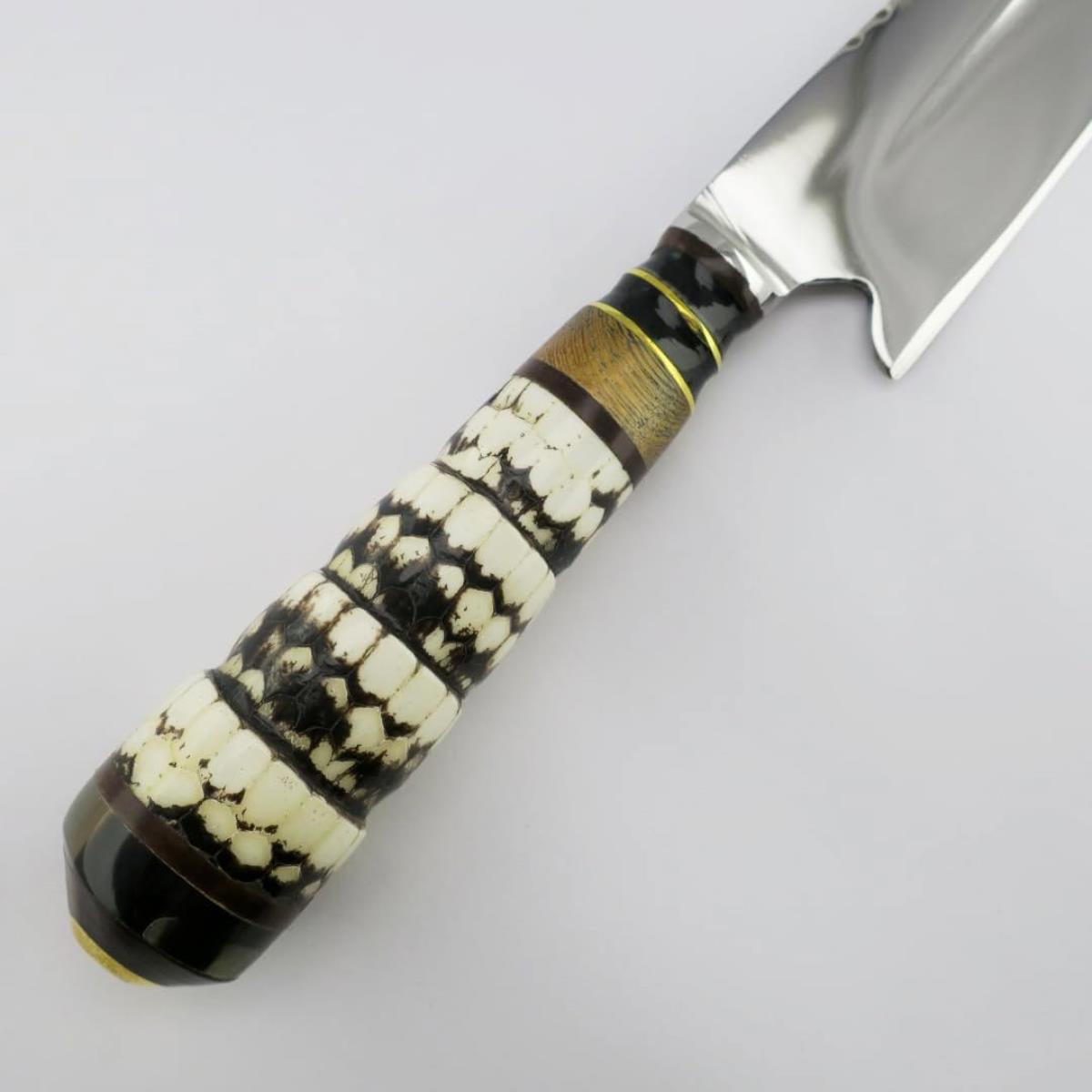 A handcrafted knife featuring a unique handle made from a genuine armadillo tail, polished to show intricate scales, paired with a sharp, high-quality 7.1-inch stainless steel blade.