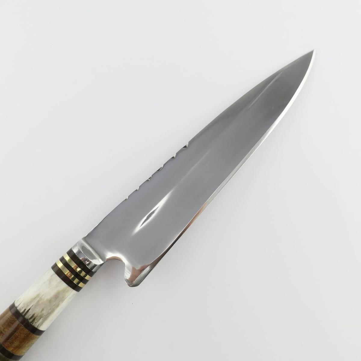 Cuchillo Armadillo de acero inoxidable de 6.3 pulgadas con hoja pulida y mango decorativo de hueso, latón y madera, ideal para diversas tareas de corte.