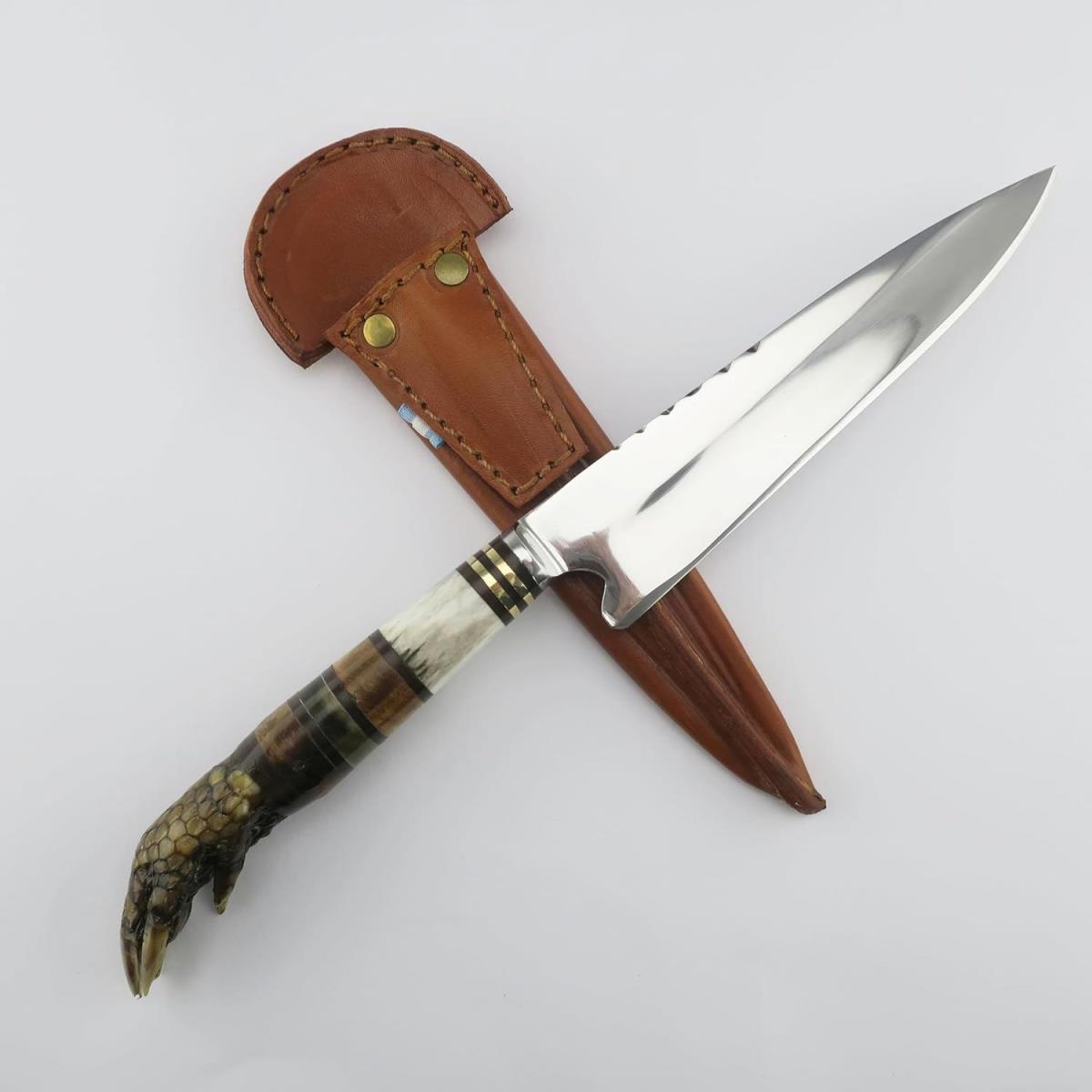 Unique Armadillo 6.3 inch stainless steel knife with a genuine armadillo foot handle and a custom leather sheath. Perfect for collectors and outdoor enthusiasts.
