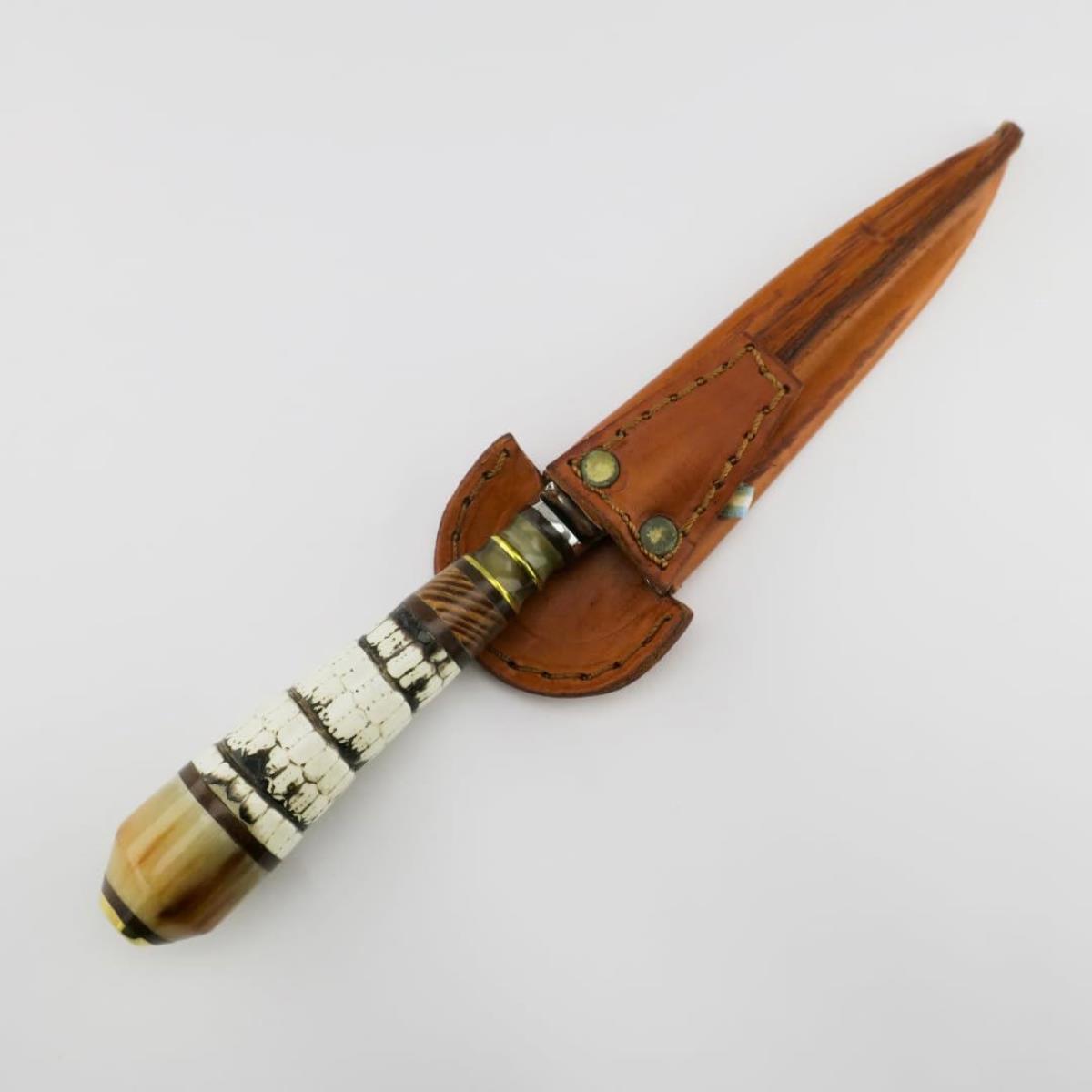 Exquisite 5.5-inch Armadillo Tail knife with a unique handle design made from natural materials, including armadillo tail segments, and a polished stainless steel blade, perfect for collectors and outdoor enthusiasts.